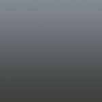 Signal Grey